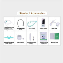 Load image into Gallery viewer, Hot Sale Oxygen Concentrator DDT-1B