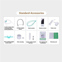 Load image into Gallery viewer, Oxygen Concentrator DDT-1A